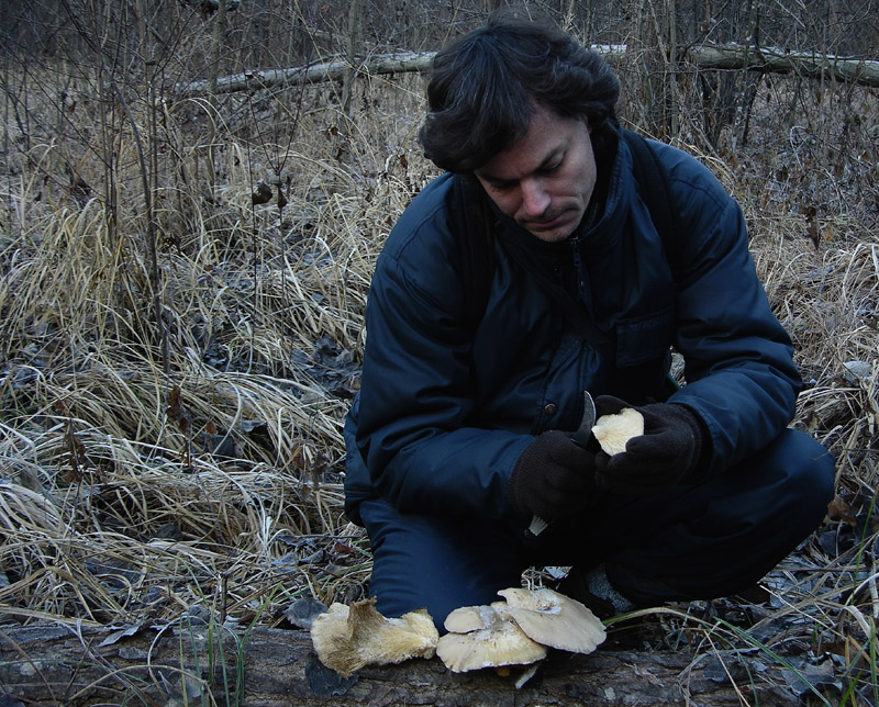 A caccia di Pleurotus.....parte2.